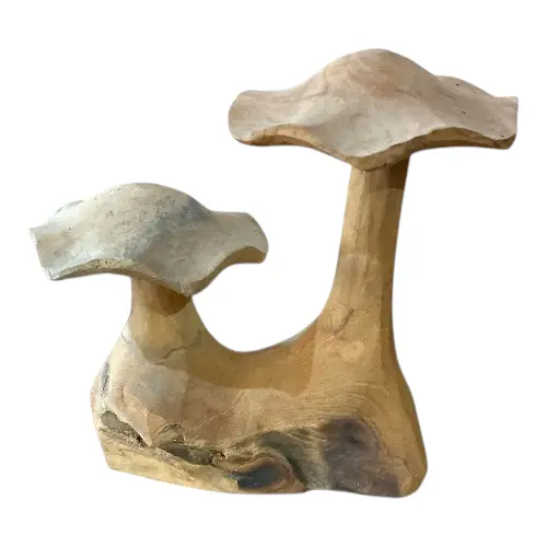 [STACHAMPJAM37] CHAMPIGNON TECK JAMUR 37CM