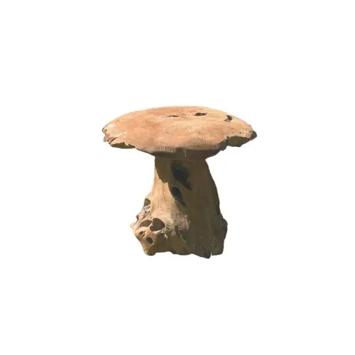 CHAMPIGNON TECK 40CM