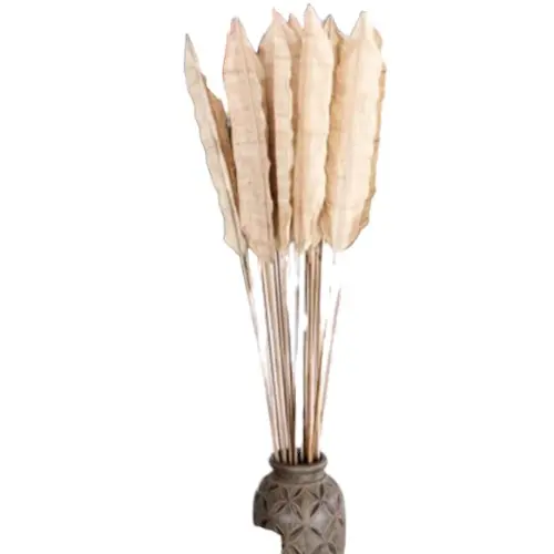 DÉCO FEUILLE NATURELLEBOG3 H200 CM