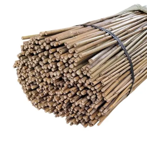 TUTEUR BAMBOU H 200 D 0,6/0,8