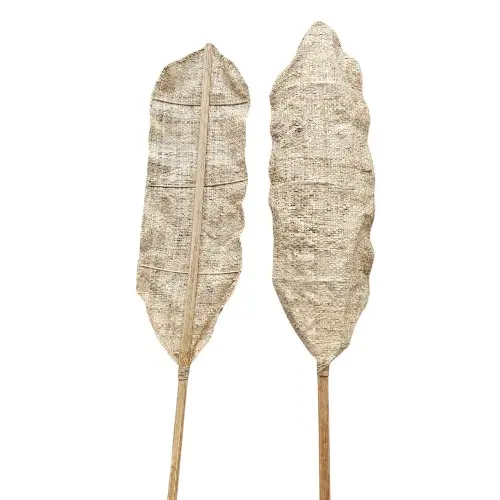 DÉCO FEUILLE NATURELLE BOG8