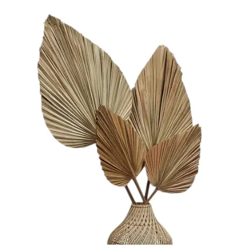 DÉCO FEUILLE NATURELLE BOG9 150 CM